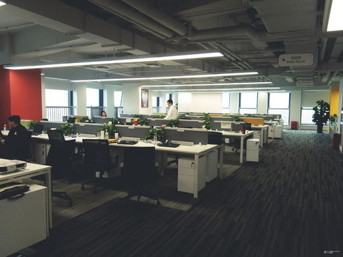 看准网在计算机技术推广中的战略布局与市场影响